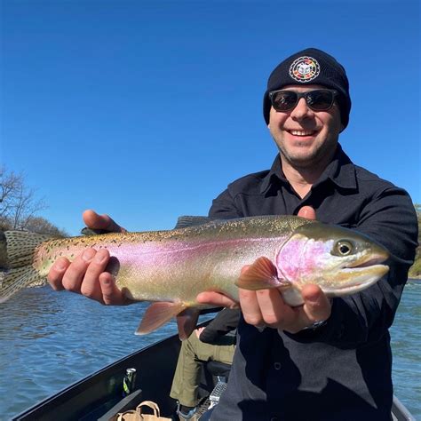 sac fishing report|sacramento river steelhead fishing report.